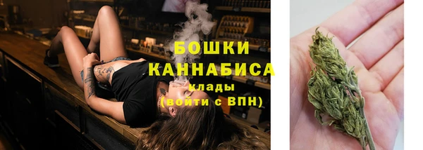 PSILOCYBIN Зеленодольск