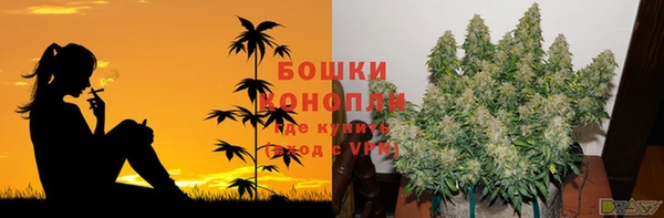 не бодяженный Снежногорск