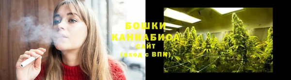 PSILOCYBIN Зеленодольск