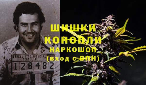 не бодяженный Снежногорск