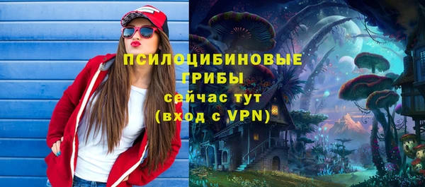 твердый Слюдянка