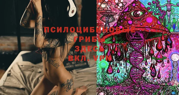 ГАЛЛЮЦИНОГЕННЫЕ ГРИБЫ Зерноград
