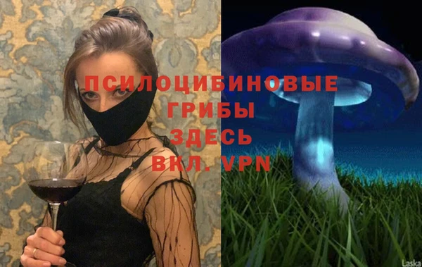 PSILOCYBIN Зеленокумск