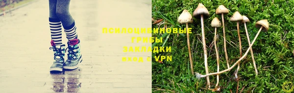 не бодяженный Снежногорск