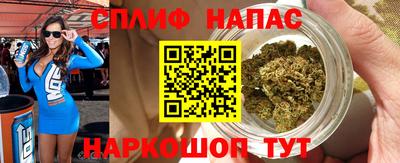 прущие грибы Краснодар