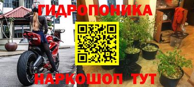 прущие грибы Краснодар