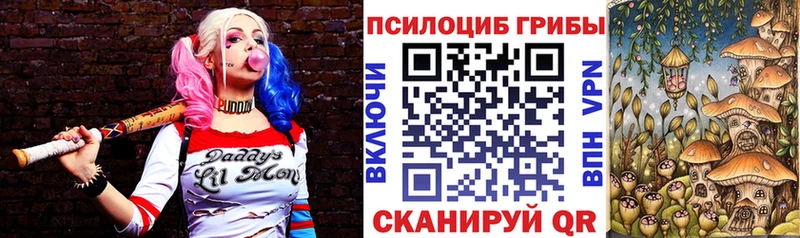 где продают Северобайкальск Псилоцибиновые грибы прущие грибы