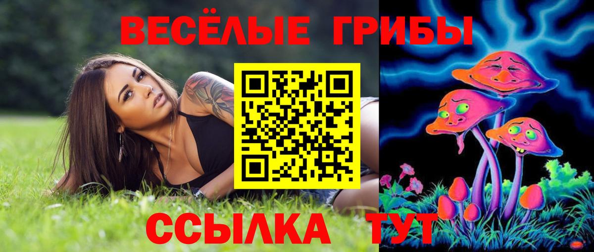 Галлюциногенные грибы Psilocybine cubensis Северобайкальск