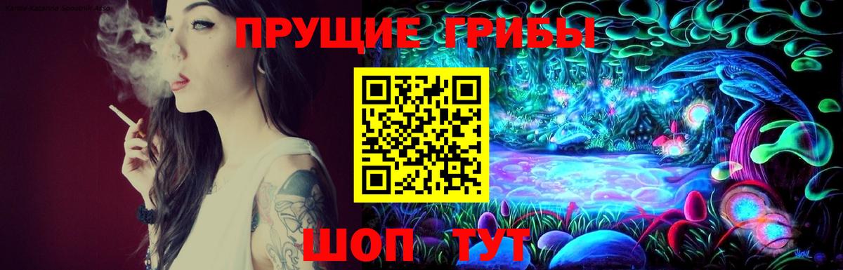Галлюциногенные грибы прущие грибы  наркотики  Северобайкальск  Вход с VPN 